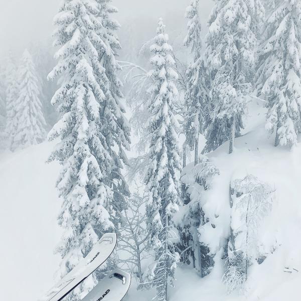 ski