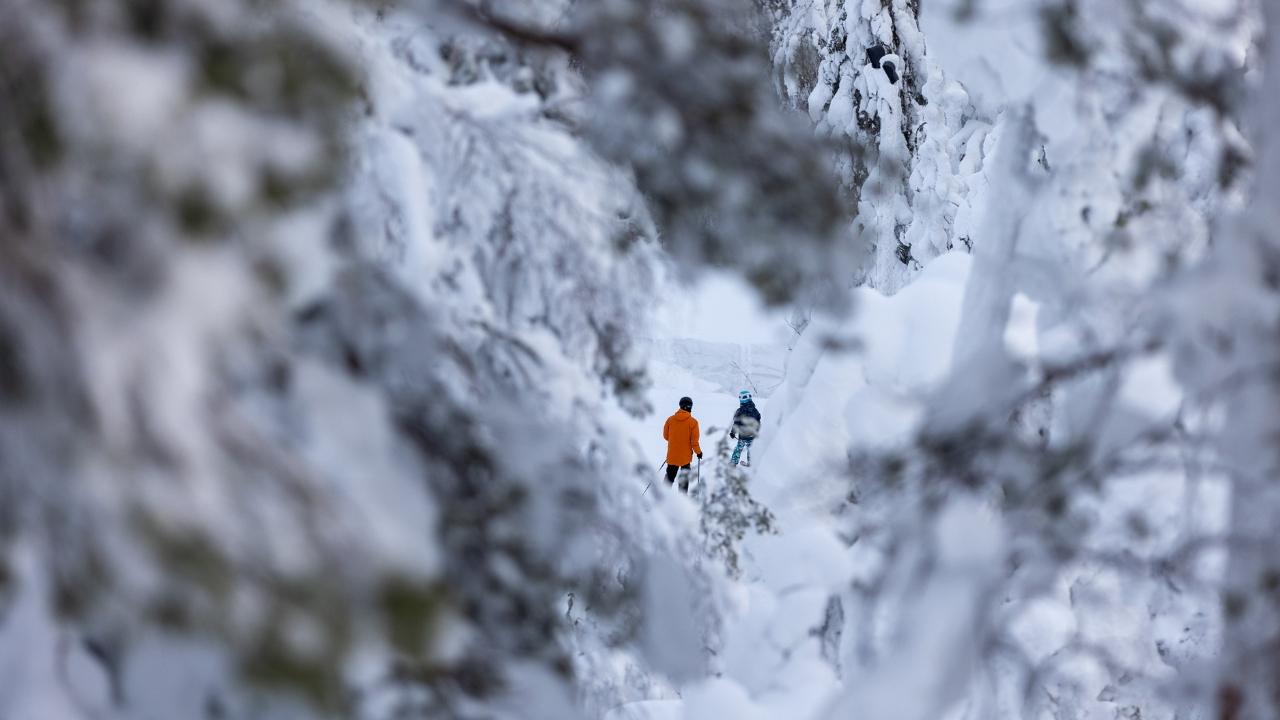 Location de ski à Serre Chevalier